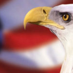 AST-Image-of-Eagle-and-Flag-resized-2