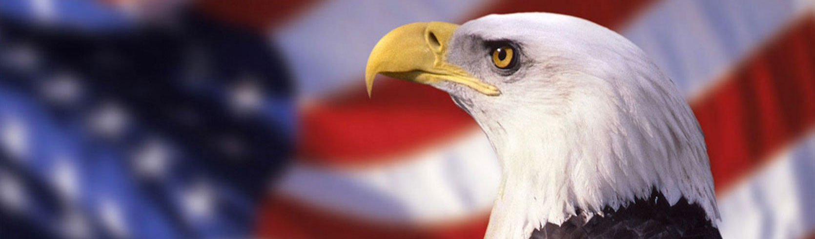 AST-Image-of-Eagle-and-Flag-resized-2