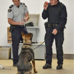 RCMP dog sitting in front of uniformed trainers (Image Credit: RCMP)