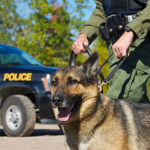 CBP-canine