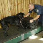Canines are trained in environments that simulate where they will work. Here a handler trains a canine on a baggage belt. (Courtesy of the CBP)
