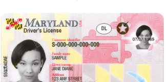 Gemalto MD Driver's License