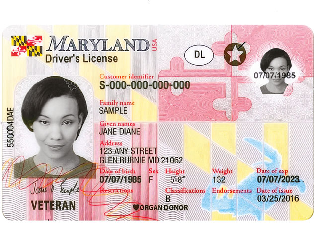 Gemalto Maryland Driver's License