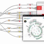 RiskSense-Correlate