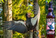 “We are happy to support the recovery effort of the California condor by brewing a beer for the Oregon Zoo,” says Rogue President Brett Joyce.