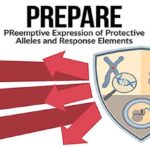 DARPA-PREPARE