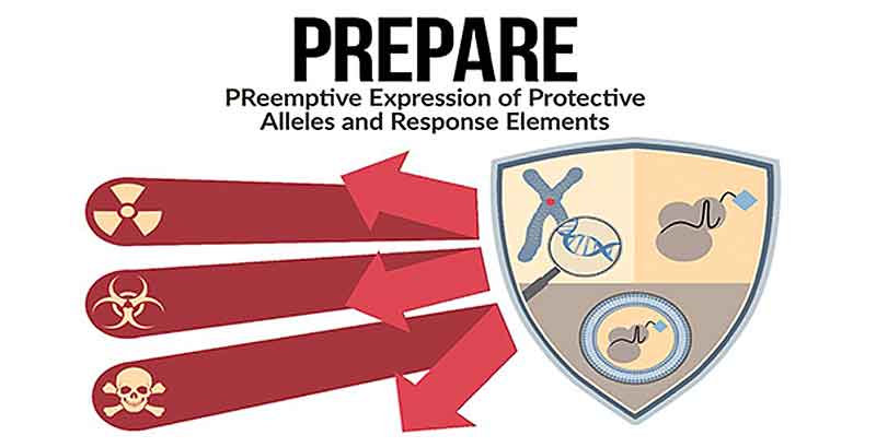 PREPARE aims to develop new class of generalizable medical countermeasures that safely and temporarily tune activity of protective genes