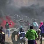 Palestine-protests-2