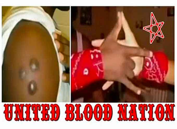 United Blood Nation (UBN)