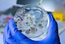 The rapid rise of synthetic biology, a futuristic field of science that seeks to master the machinery of life, has raised the risk of a new generation of bioweapons, according a major US report into the state of the art.