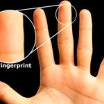 fingerprint