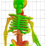 18pml022_skeleton