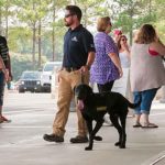 AKC-Detection-Dog-Task-Force