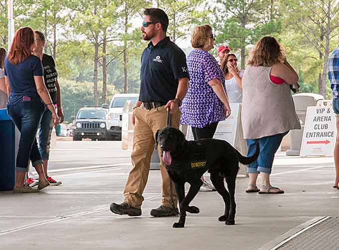 Homegrown terrorism and mass shootings have sadly become everyday news in the US. As a result, the demand for explosives detection dogs as a deterrent against such crimes is on the increase with one major problem: there are not enough dogs to meet the growing need. The AKC Detection Dog Task Force is working to help with this national security issue. (Courtesy of the AKC)