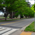 hornet-crosswalk