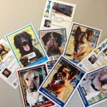 canine-cards-tsa