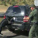 Border-patrol-k9