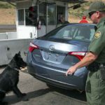 border-patrol-k9-main