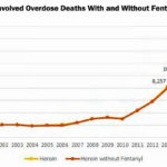 heroin-deaths-dea-2