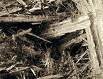 asbestos-banner-image