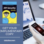 data theorem API Security For Dummies