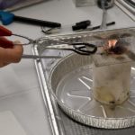 burn-lab-experiment usfa