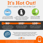 hot-cars_infographic-update_072017_shareable_b copy