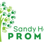 sandy hook promise