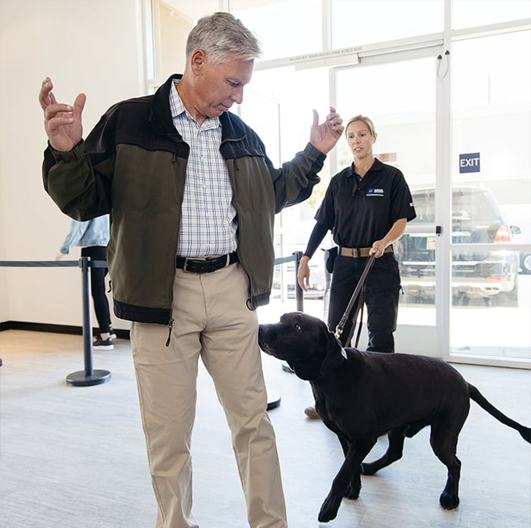You’ll find MSA Canine Detection Teams working everywhere sniffing out potential threats from both stationary and mobile explosive odors in professional sports stadiums, airports, amphitheaters, cargo facilities, loading docks and more.