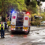 Miranda,australia,2020-01-20,A,Tree,Fallen,On,A,Car,Due,To